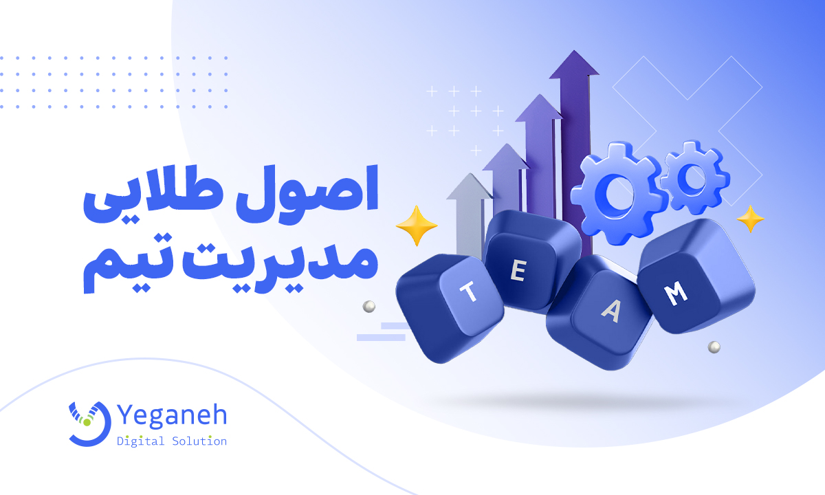 مدیریت تیم