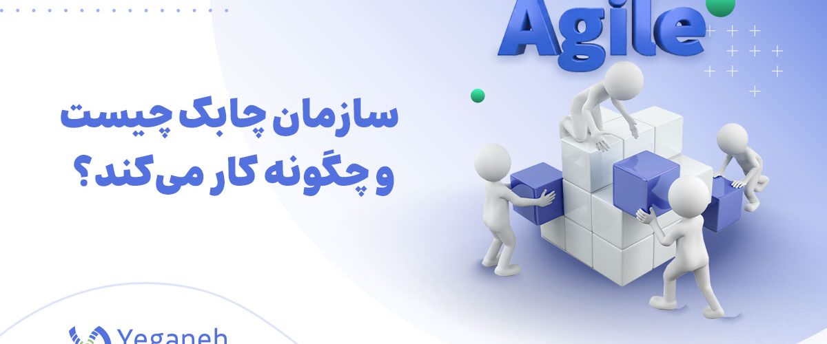 سازمان چابک