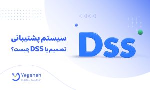 dss